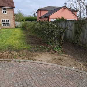 Hedge Reduction after