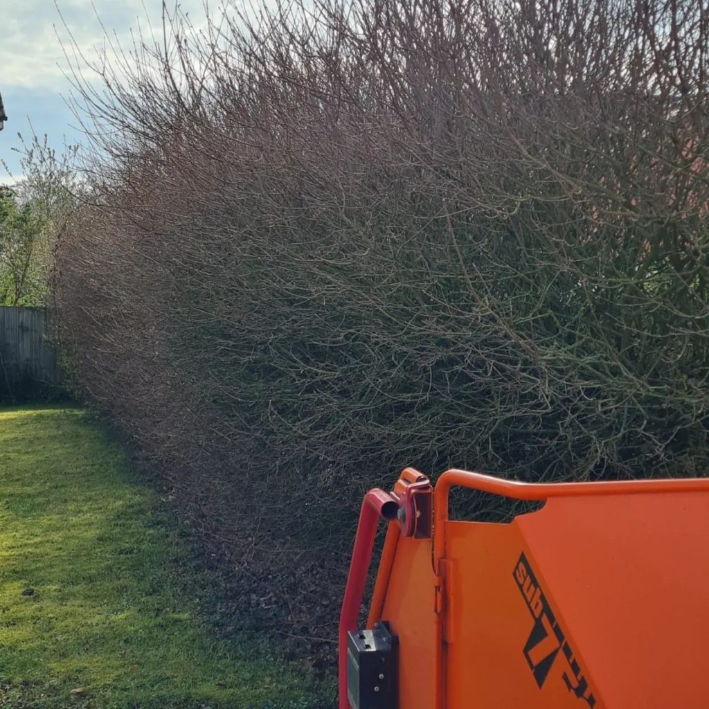 Hedge Reduction before